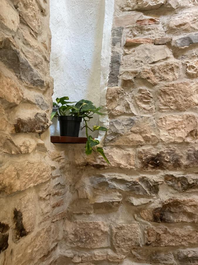 Place Aux Herbes Apartamento Nimes Exterior foto